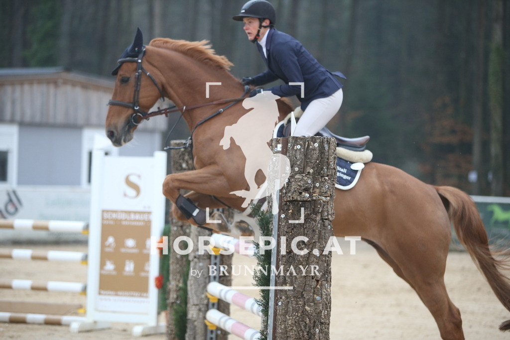 PP012679 | Willkommen bei Brunnmayr - Design & Fotografie – Ihrem Spezialisten für Reitturniere und Pferdeveranstaltungen in Oberösterreich, Salzburg und Bayern! Seit über 17 Jahren sind wir leidenschaftlich dabei.