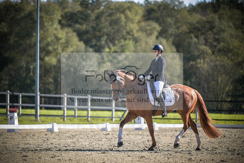 DOS_2657 | Entdecke hochwertige Reitturnierfotos von Foto Oger. Professionell, emotional und authentisch – jetzt Lieblingsmomente im Shop bestellen.Deutschlandweite Turnierfotografie. - Realisiert mit Pictrs.com