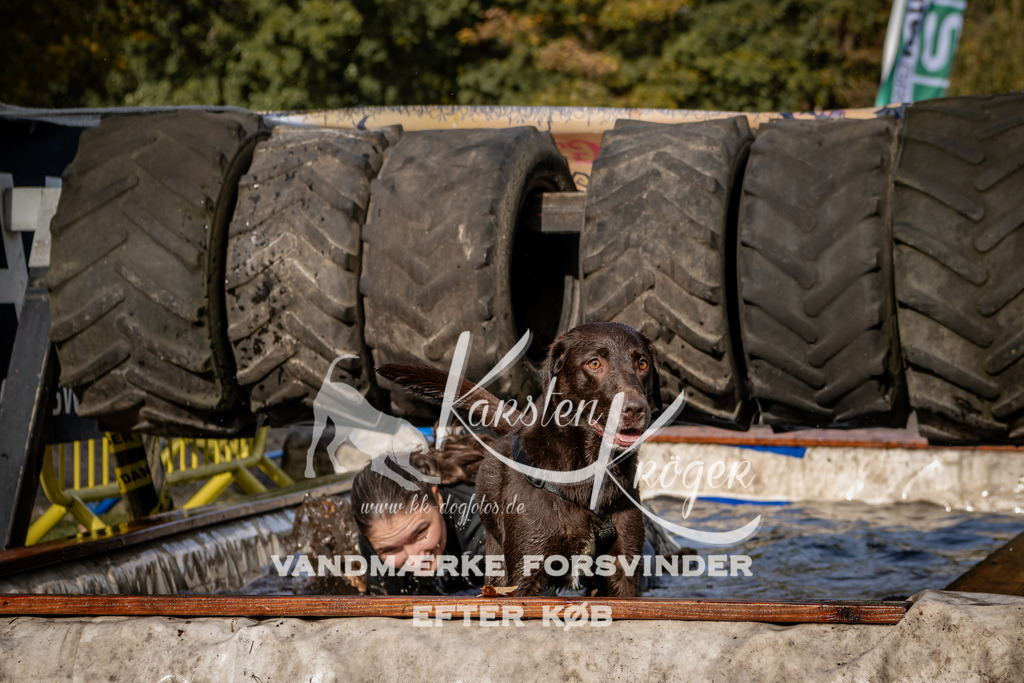 1359_ZZ93566 | kk-dogfotos
