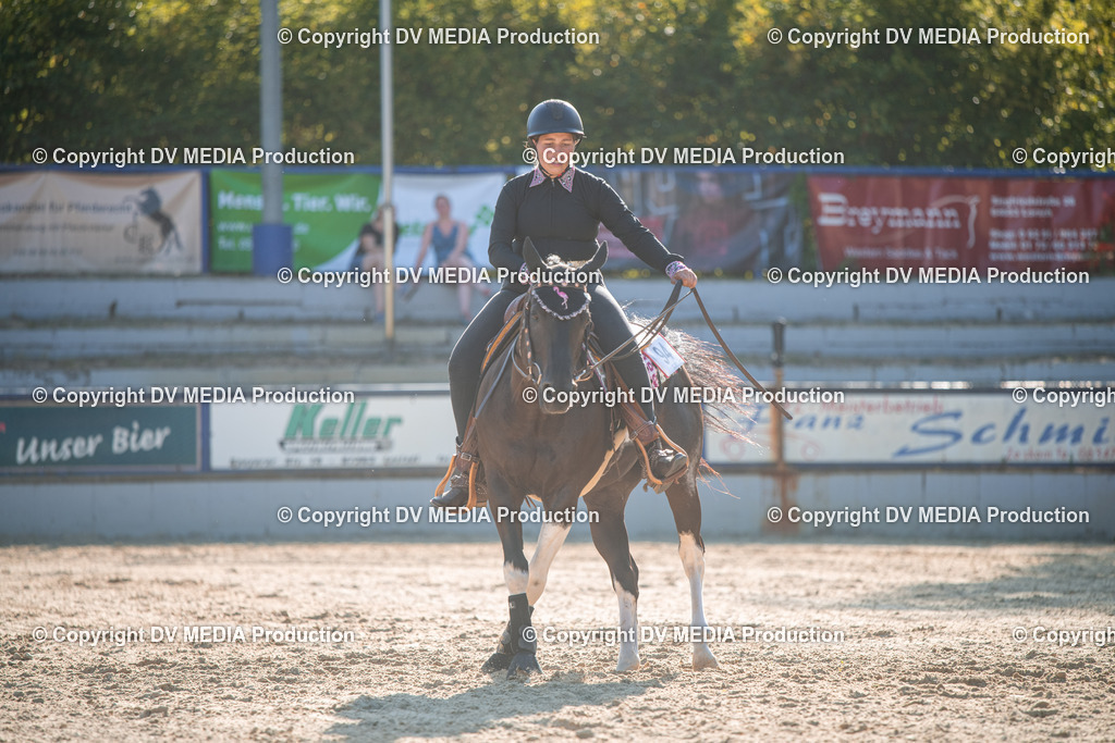 EWP_7103 | dv-media-shop - Realisiert mit Pictrs.com