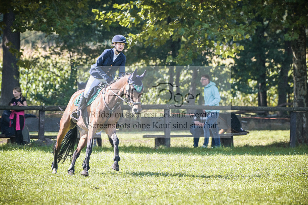 DOS_0801 | Entdecke hochwertige Reitturnierfotos von Foto Oger. Professionell, emotional und authentisch – jetzt Lieblingsmomente im Shop bestellen.Deutschlandweite Turnierfotografie. - Realisiert mit Pictrs.com