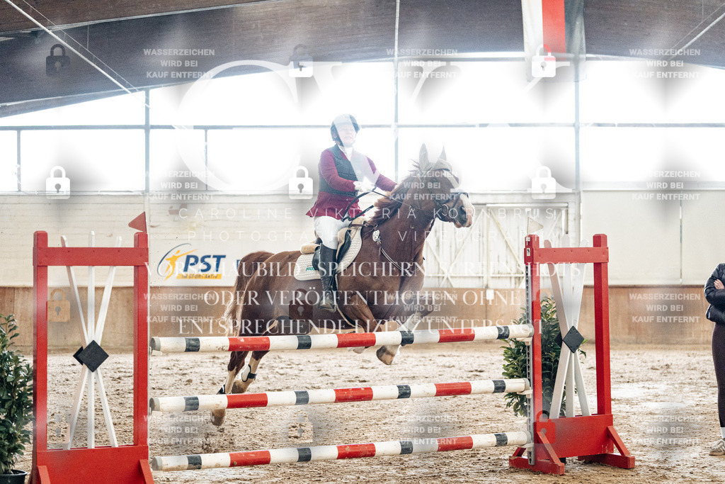 CK906311 | Turnierfotografie Pferdefotografie Trier Rheinland-Pfalz Pferdesport Reitsport Tierfotografie Sportfotografie Pferdevideo Pferdevideografie Equestrianvideography equestrianphotography  - Realized with Pictrs.com