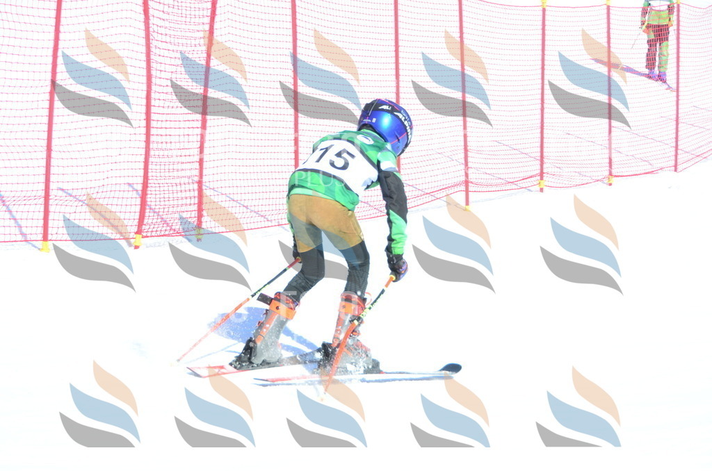 C5863 | holidayphoto