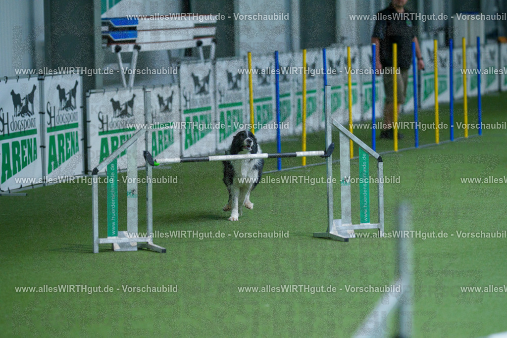@allesWIRTHgut_Tierfotografie - www.allesWIRTHgut.de - 2604261532-7R505911 | Professionelle Tierfotografie in Mönchengladbach von Daniel Wirth (allesWIRTHgut). Liebevolle & natürliche Bilder von Hunden & Katzen für unvergessliche Erinnerungen.