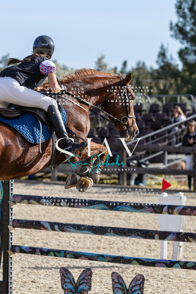 IMG_0163 | s-jay-photography - Realisiert mit Pictrs.com