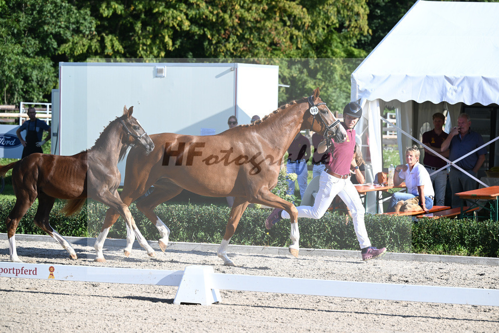 Kat-Nr. 3 Hollyfly_Eisenmenger_36230640 | hf-fotografie - Realisiert mit Pictrs.com