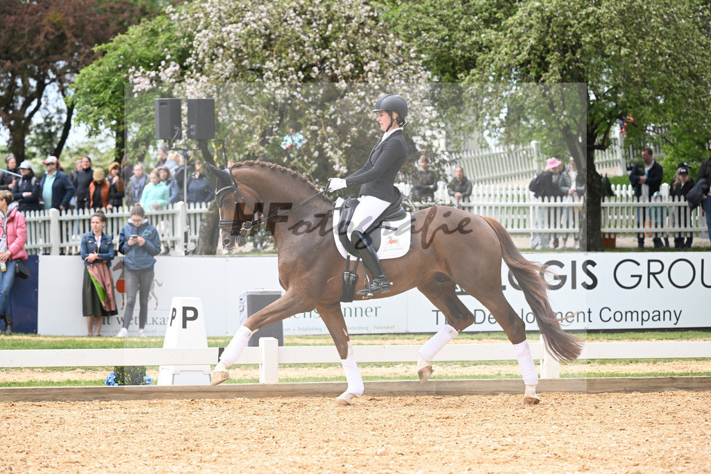 Bowmore_11230775 | hf-fotografie - Realisiert mit Pictrs.com