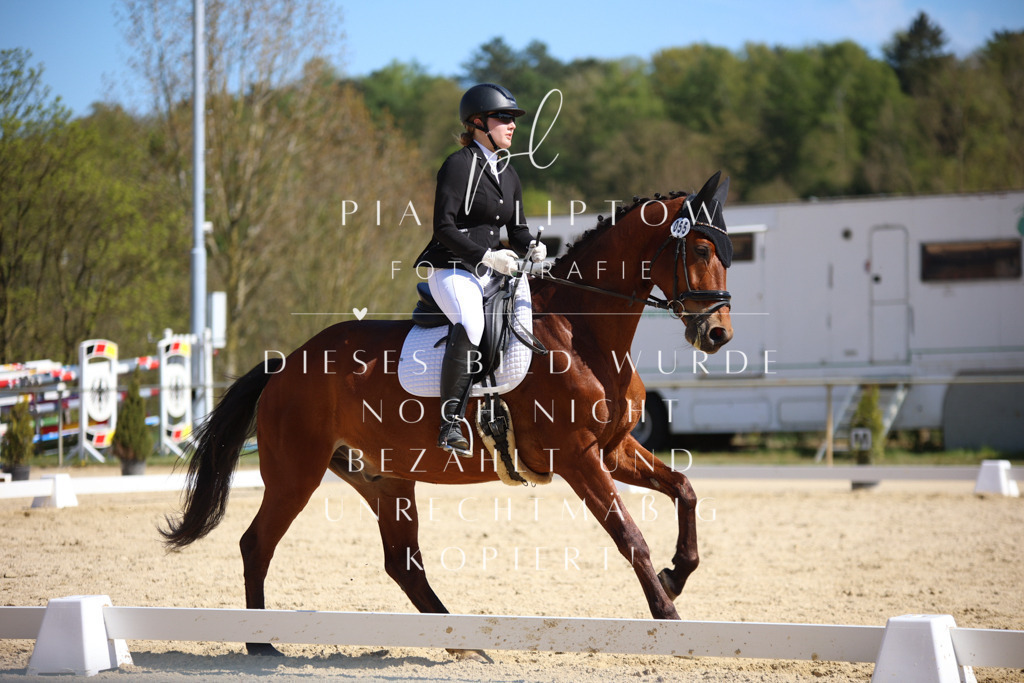 IMGT2003 | pl-fotografie