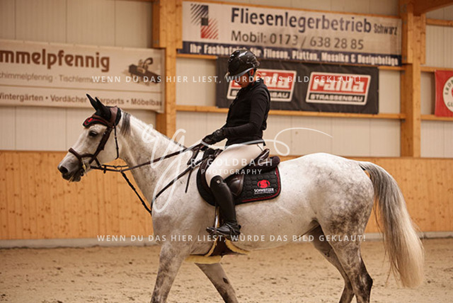 1J2A5613Jasmin Selke-John_ Linda T_ Kn344_ Glantz_ Hohen Wieschendorf | Foto- und Videografie für alles rund ums Pferd. Hochwertige Bilder und Videos vom Spring- und Dressurreiten, Voltigieren & mehr. Jetzt aktuelle Veranstaltungen und Preise im Shop ansehen. - Realisiert mit Pictrs.com