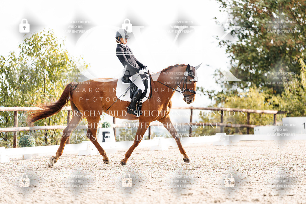 CK900638 | Turnierfotografie Pferdefotografie Trier Rheinland-Pfalz Pferdesport Reitsport Tierfotografie Sportfotografie Pferdevideo Pferdevideografie Equestrianvideography equestrianphotography  - Realisiert mit Pictrs.com