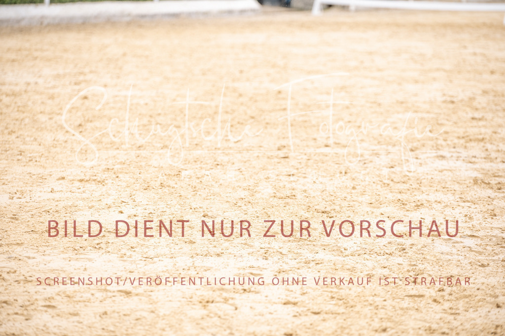 Schugtsche-Aluta25-41.Amat-Dressurprf.A_-217 | Schugtsche Fotografie - Realized with Pictrs.com