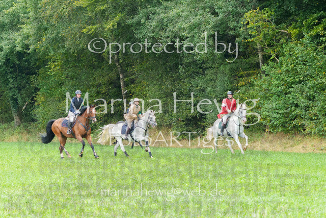 Jagd Perdoel_MarinaHewigMCH04456 | Fotografie, FotoArt, PferdesportArt, Pferdesportfotografie, Landschaftsfotografie, Reisefotografie, Reise, Pferde - Realisiert mit Pictrs.com