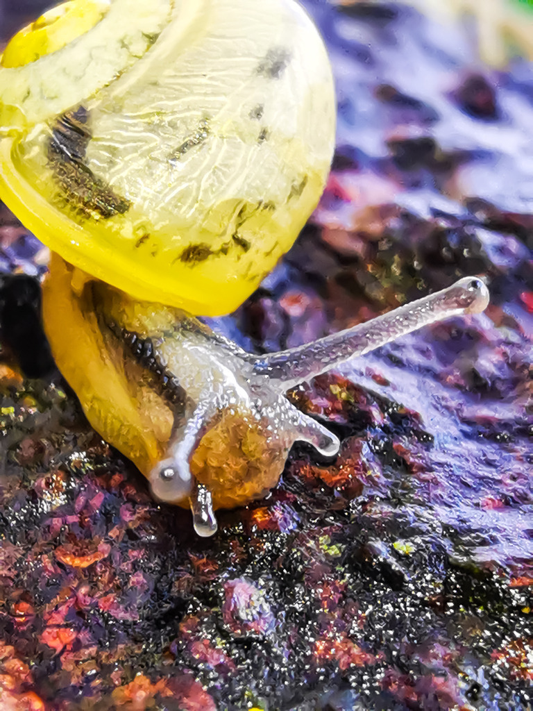 PSX_20230330_212918 | mtkfoto_ - Realisiert mit Pictrs.com