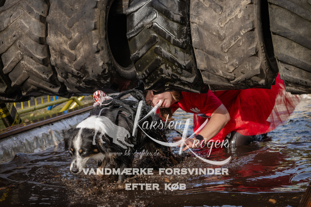 1413_ZZ94163 | kk-dogfotos