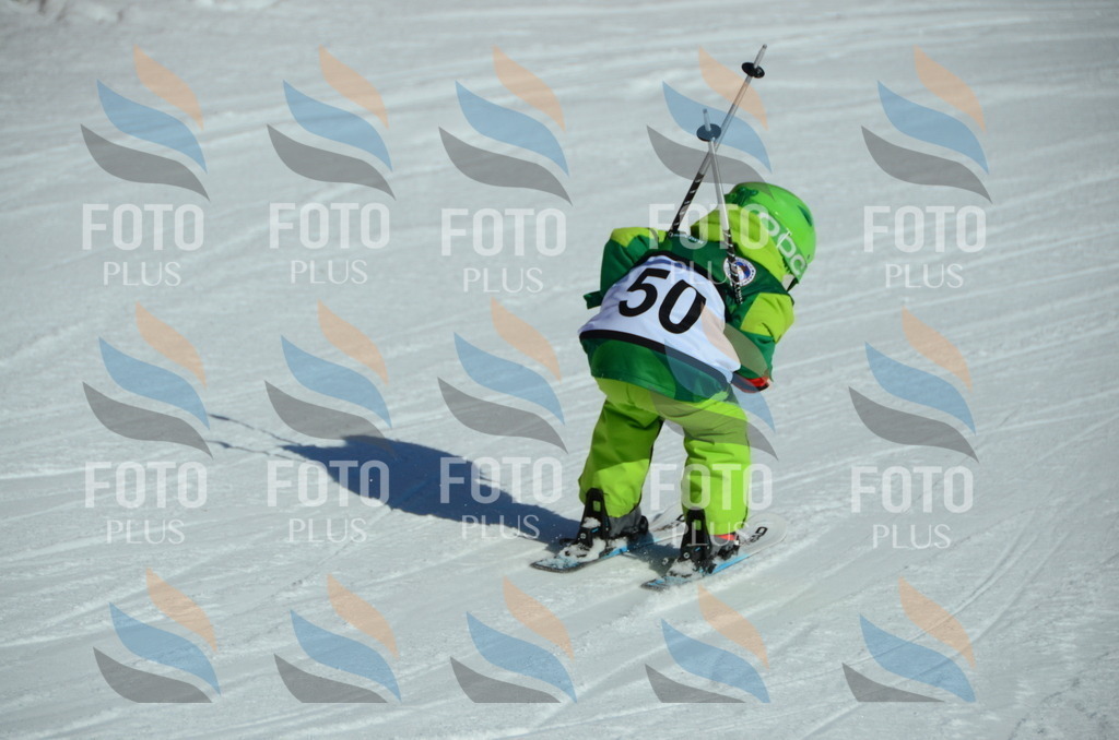 C5203 | holidayphoto