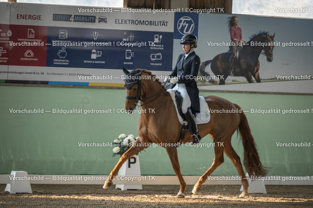 _D5A8073 | Emotionale Pferde- & People-Fotografie rund um Heidelberg, Leimen & Umgebung. Natürliche Fotos von Pferd, Mensch & Familie. Jetzt Termin sichern!