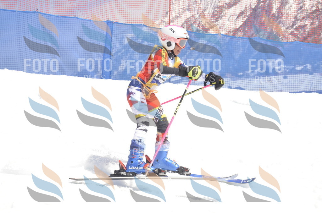 _ELE9527 | holidayphoto