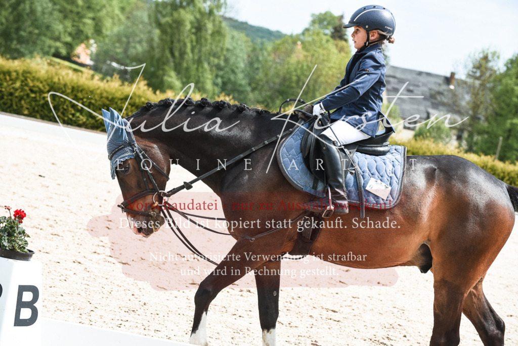 20230518_JK-Röhrsdorf-11-0261 | Pferde- und Turnierfotografie in Westsachsen. Pferdeportraits, Auftragszeichnungen und intuitive Kunst.