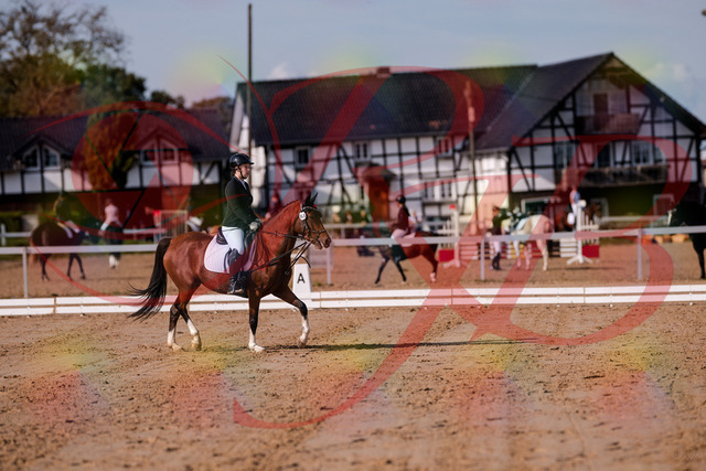 2026_10_03_Siefer-Hof_115418_Z81_93191461 | Professionelle Reitsport-, Turnier- und Eventfotografie von Robert Broda. Galerien mit ausgewählten und bearbeiteten Bildern direkt online ansehen und bestellen.