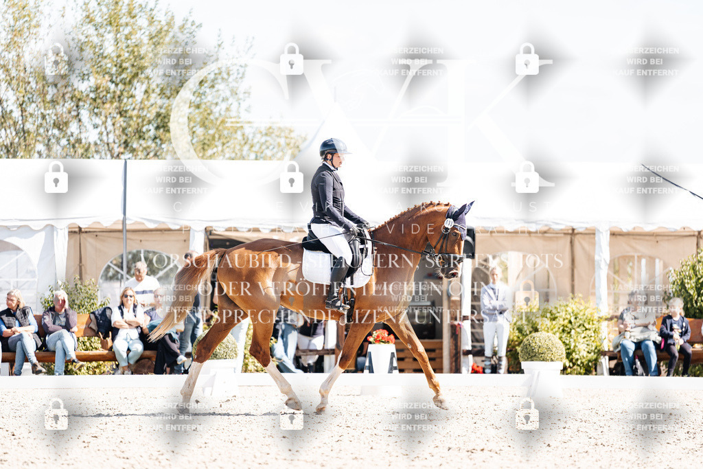 CK903253 | Turnierfotografie Pferdefotografie Trier Rheinland-Pfalz Pferdesport Reitsport Tierfotografie Sportfotografie Pferdevideo Pferdevideografie Equestrianvideography equestrianphotography  - Realisiert mit Pictrs.com