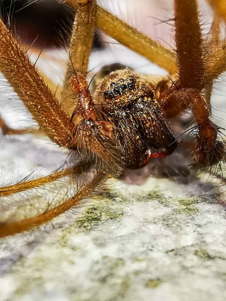 PSX_20220921_223657 | mtkfoto_ - Realisiert mit Pictrs.com