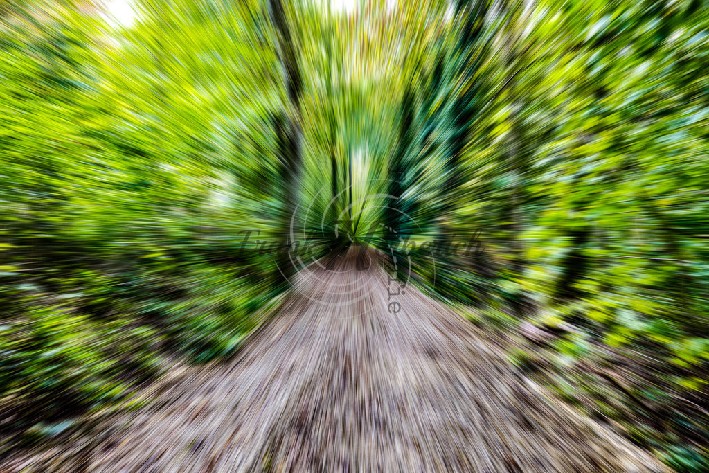 2023_10_03_9999_83 | Frank Herberich Fotografie, Frank Herberich, Fotografie, Hochzeit, Portrait, St. Peter Ording, Ording, Westerhever, Nordsee, Frank Fotografie, Hardheim,  Odenwald,Walldürn, Band,Eventfotografie - Realisiert mit Pictrs.com