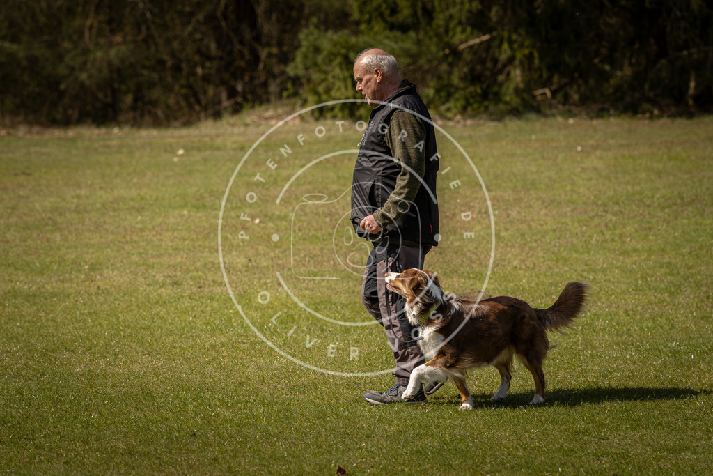 Pfotenfotografie_DV3A1314 | Hundefotografie, Tierfotograf, Pfotenfotografie, Fotoshooting Hund, Hunde Portrait, Hundesport, Hundeportraits, Heideshooting, Hunde, Sportfotograf, Hundefotograf, Turnierhundsport, THS,  - Realisiert mit Pictrs.com