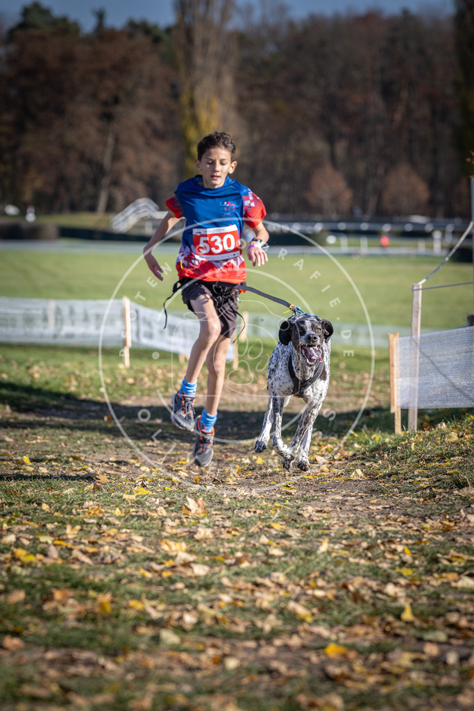CaniXpix_DV3A8232 | Hundefotografie, Tierfotograf, Pfotenfotografie, Fotoshooting Hund, Hunde Portrait, Hundesport, Hundeportraits, Heideshooting, Hunde, Sportfotograf, Hundefotograf, Turnierhundsport, THS,  - Realisiert mit Pictrs.com