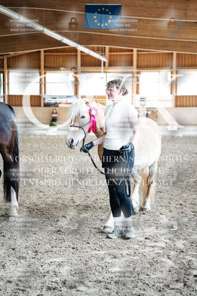 CK703293 | Turnierfotografie Pferdefotografie Trier Rheinland-Pfalz Pferdesport Reitsport Tierfotografie Sportfotografie Pferdevideo Pferdevideografie Equestrianvideography equestrianphotography  - Realisiert mit Pictrs.com