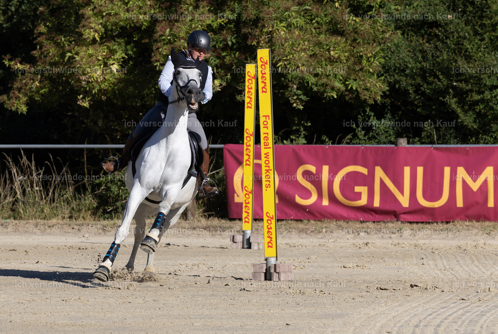 WL_Speed_50_KerstinBernhardt-6 | working equitationturnier fotograf videograf stoibphotography marixx film working equitation deutschland reitsport turnierfotografie eventfotografie equestrian events