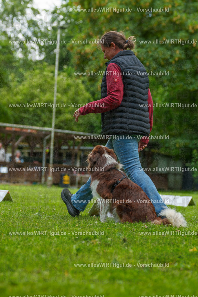 @allesWIRTHgut_Tierfotografie - www.allesWIRTHgut.de - 7R501462 | Professionelle Tierfotografie in Mönchengladbach von Daniel Wirth (allesWIRTHgut). Liebevolle & natürliche Bilder von Hunden & Katzen für unvergessliche Erinnerungen.