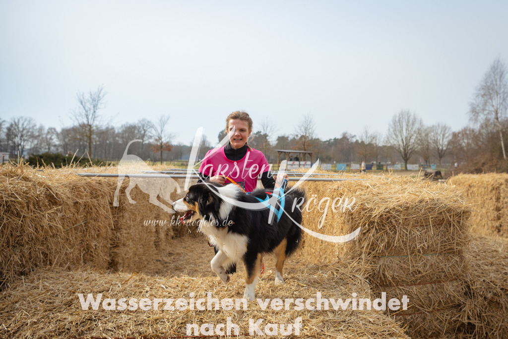 1103_ZZ91926 | kk-dogfotos