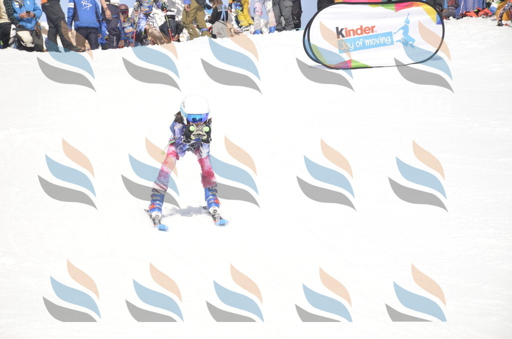 _ELE9019 | holidayphoto