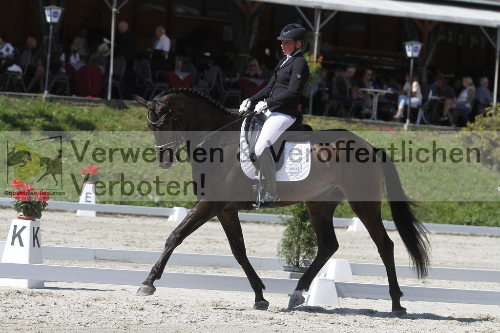 _MG_0001 | equestrian-live-com