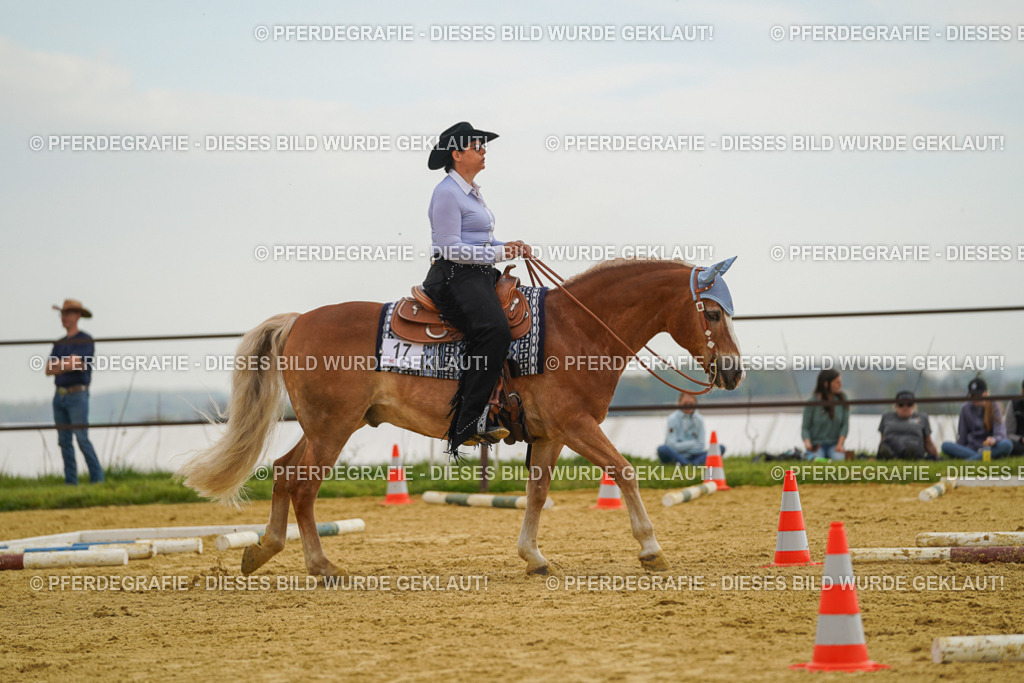 DSC02465 | Pferdegrafie