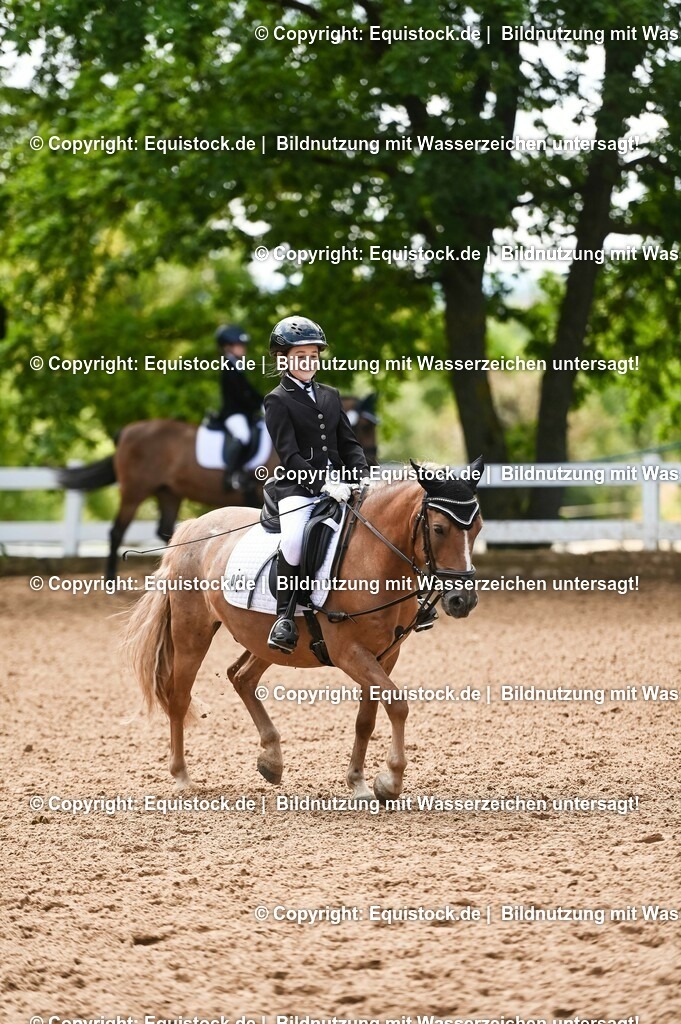 20230716_10-3_Reiter-WB Schritt - Trab - Galopp_0174 | equistock