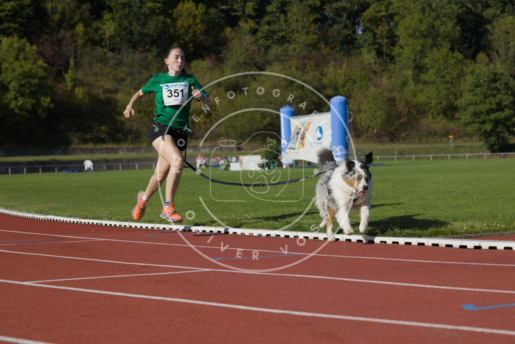 0L8A9716 | Hundefotografie, Tierfotograf, Pfotenfotografie, Fotoshooting Hund, Hunde Portrait, Hundesport, Hundeportraits, Heideshooting, Hunde, Sportfotograf, Hundefotograf, Turnierhundsport, THS,  - Realisiert mit Pictrs.com