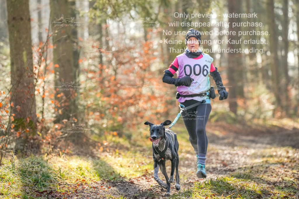 0_So_CC-2 | stephaniefillaphotographie - Realisiert mit Pictrs.com