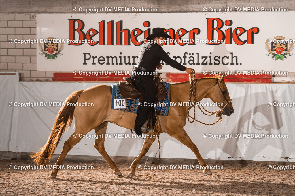 ZH200821 | dv-media-shop - Realisiert mit Pictrs.com