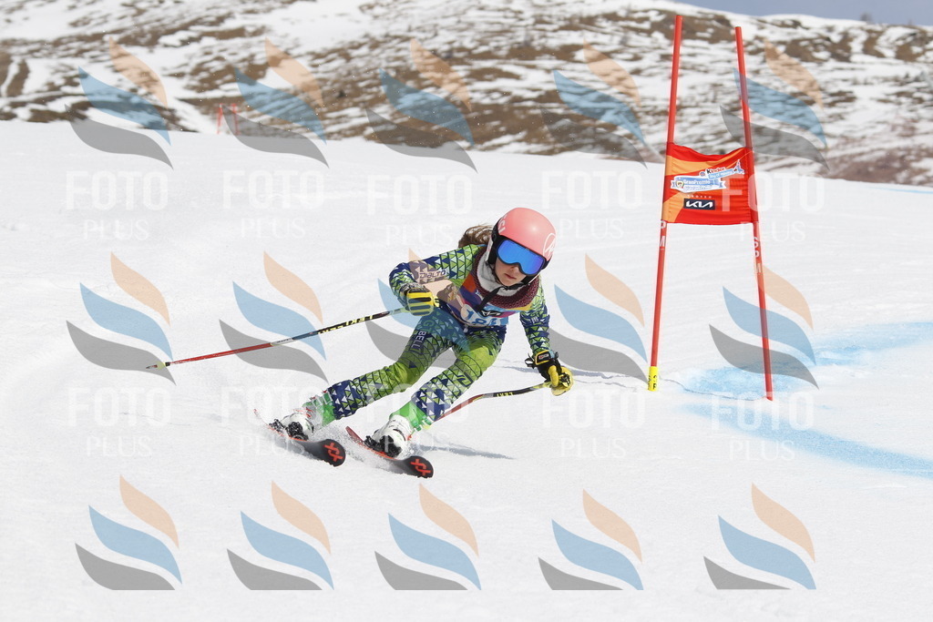 _U3G1808 | holidayphoto