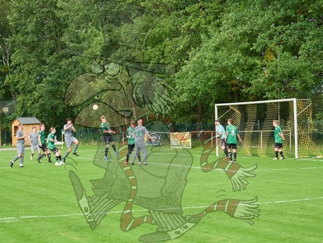 SpG Freya Marienwerder-Union Klosterfelde III vs. SpG Biesenthal-Grüntal II 253 | mythos-online-redaktion