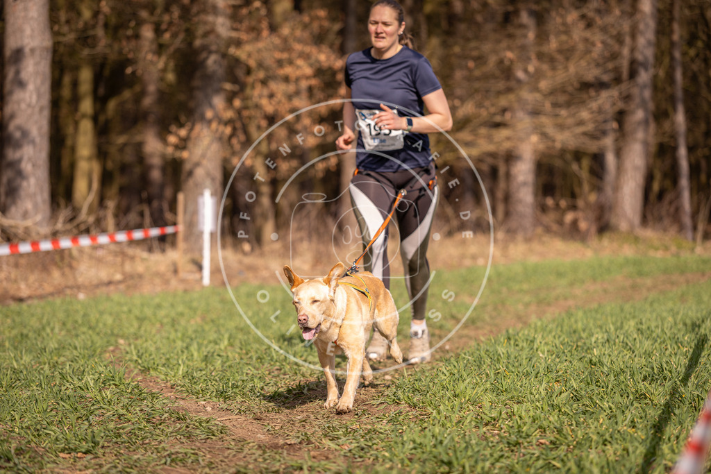 DV3A6256 | Hundefotografie, Tierfotograf, Pfotenfotografie, Fotoshooting Hund, Hunde Portrait, Hundesport, Hundeportraits, Heideshooting, Hunde, Sportfotograf, Hundefotograf, Turnierhundsport, THS,  - Realisiert mit Pictrs.com