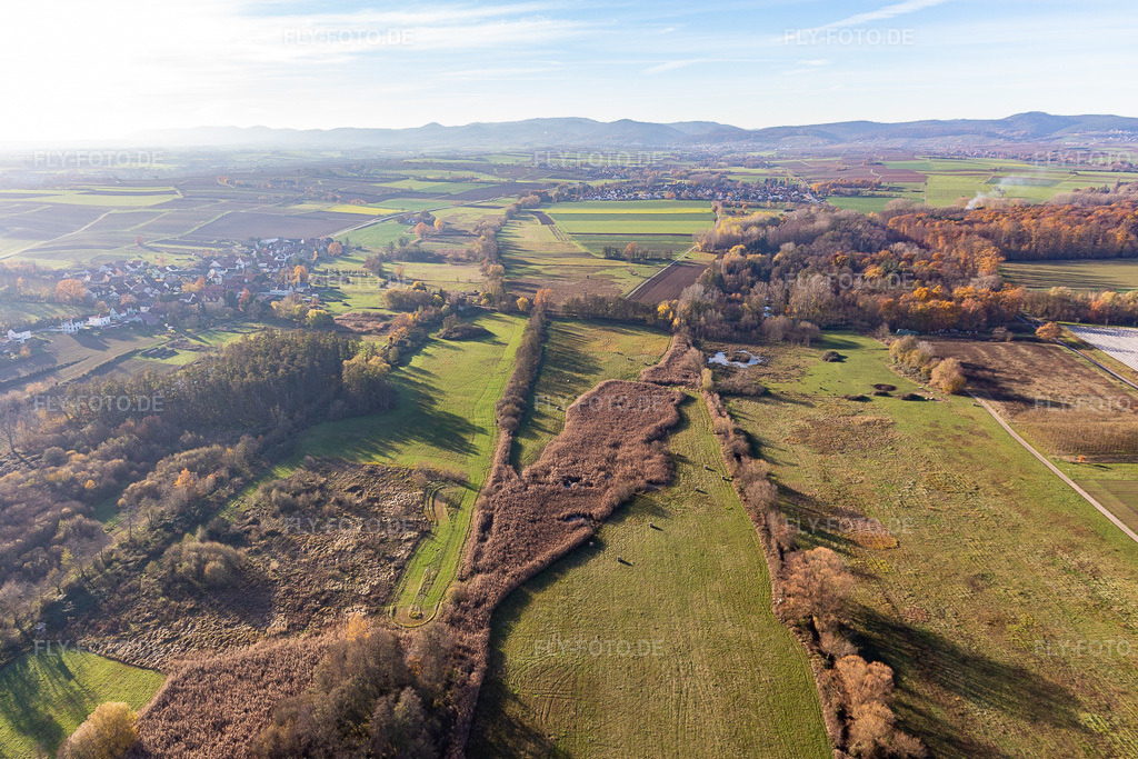 Luftbild: Billigheimer Bruch, Erlenbachtal zwischen Barbelroth, Hergersweiler und Winden im Ortsteil Mühlhofen in Billigheim-Ingenheim im Bundesland Rheinland-Pfalz in Deutschland. Foto: IMG_123911.jpg vom 21.11.2020 durch Werner Riehm/FLY-FOTO.de