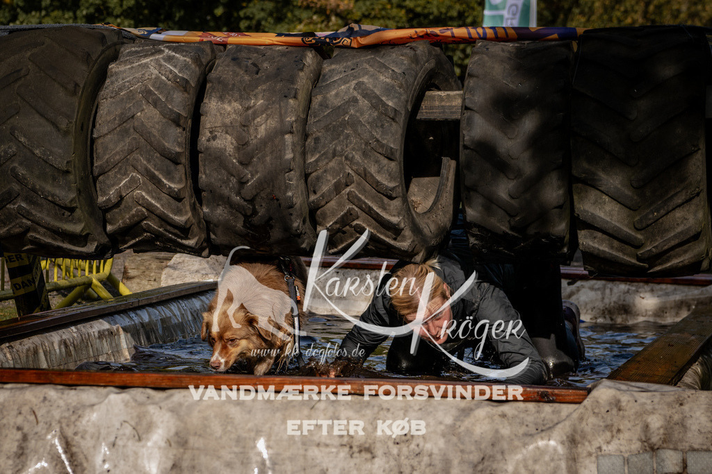 1311_ZZ92113 | kk-dogfotos