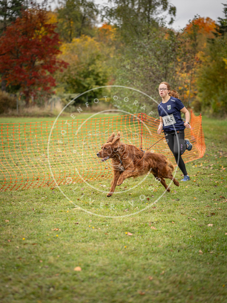 Pfotenfotografie_DV3A3748 | Hundefotografie, Tierfotograf, Pfotenfotografie, Fotoshooting Hund, Hunde Portrait, Hundesport, Hundeportraits, Heideshooting, Hunde, Sportfotograf, Hundefotograf, Turnierhundsport, THS,  - Realisiert mit Pictrs.com