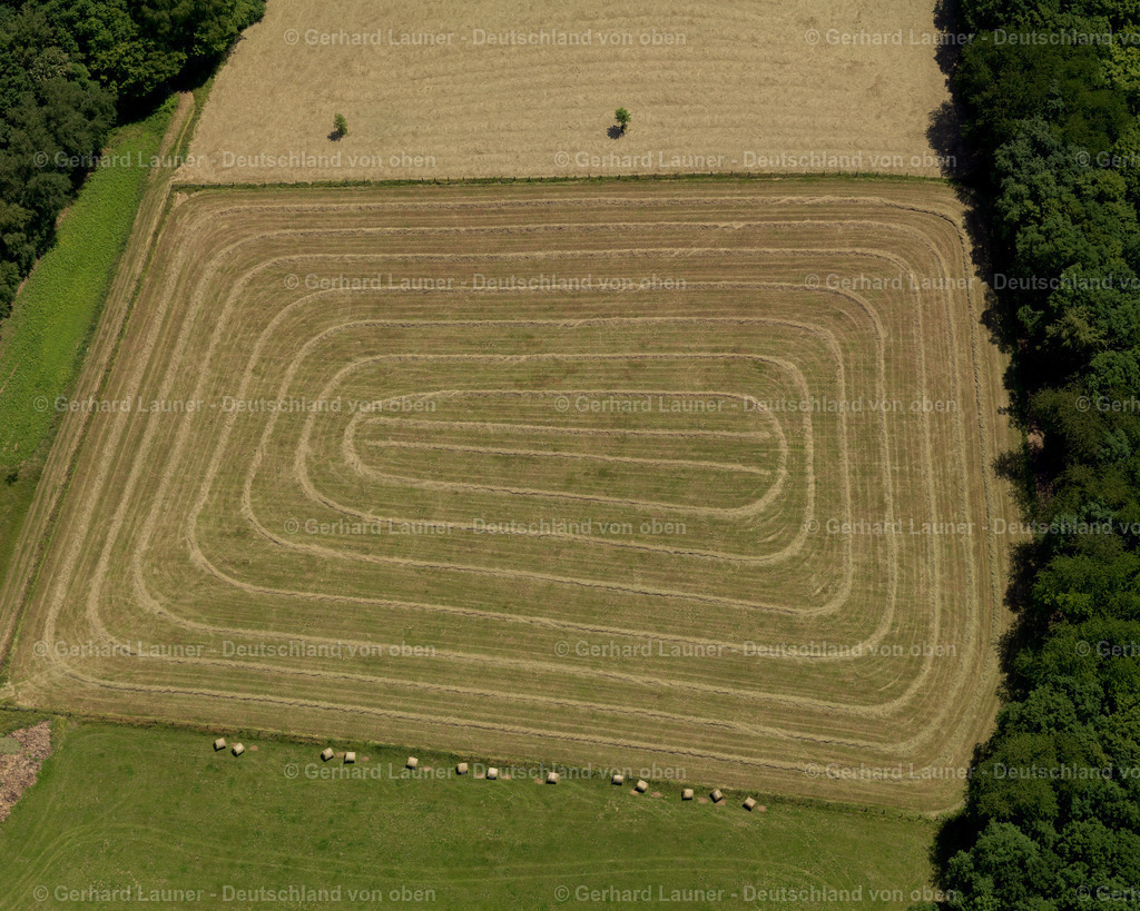 3105421 | Feldstruktur bei Mahlert