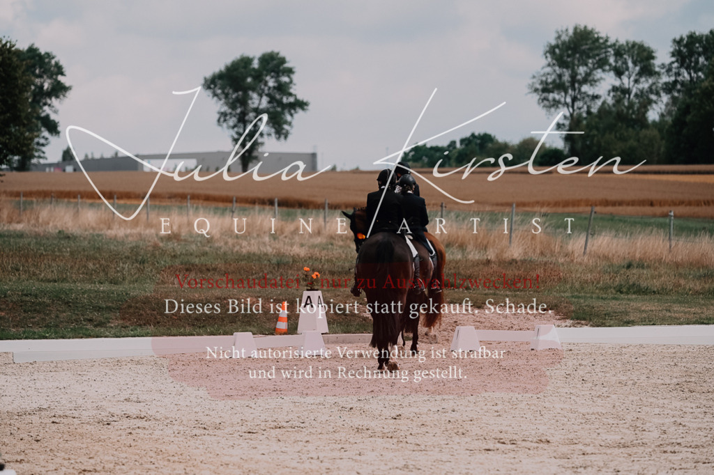 DSC_3709 | Pferde- und Turnierfotografie in Westsachsen. Pferdeportraits, Auftragszeichnungen und intuitive Kunst.