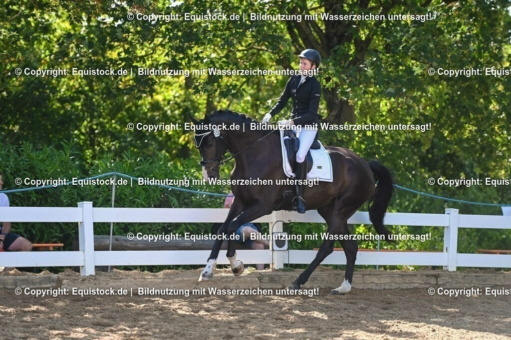 20230715_06_Dressurpferdeprfg. Kl.A_0376 | equistock