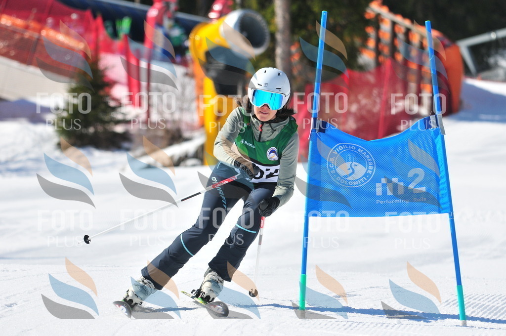 C4142 | holidayphoto