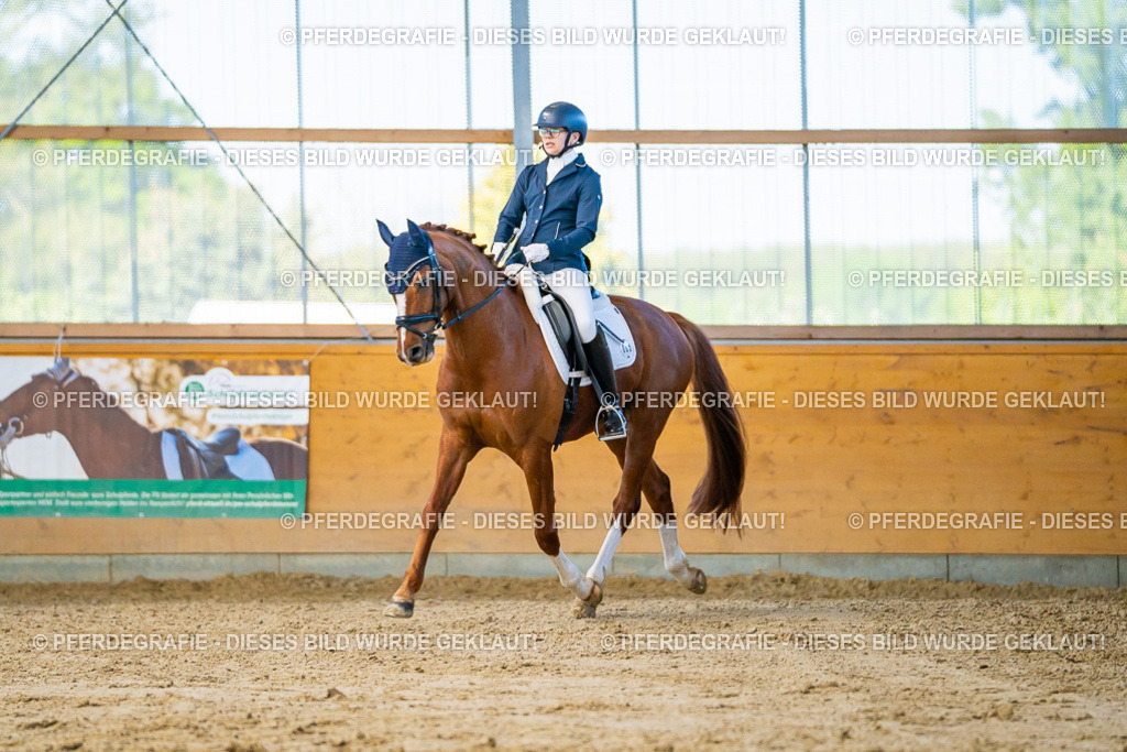 DSC06494 | Pferdegrafie